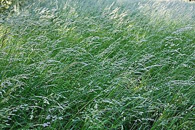 《消逝的光芒2》主要角色势力介绍 各类丧尸新情报